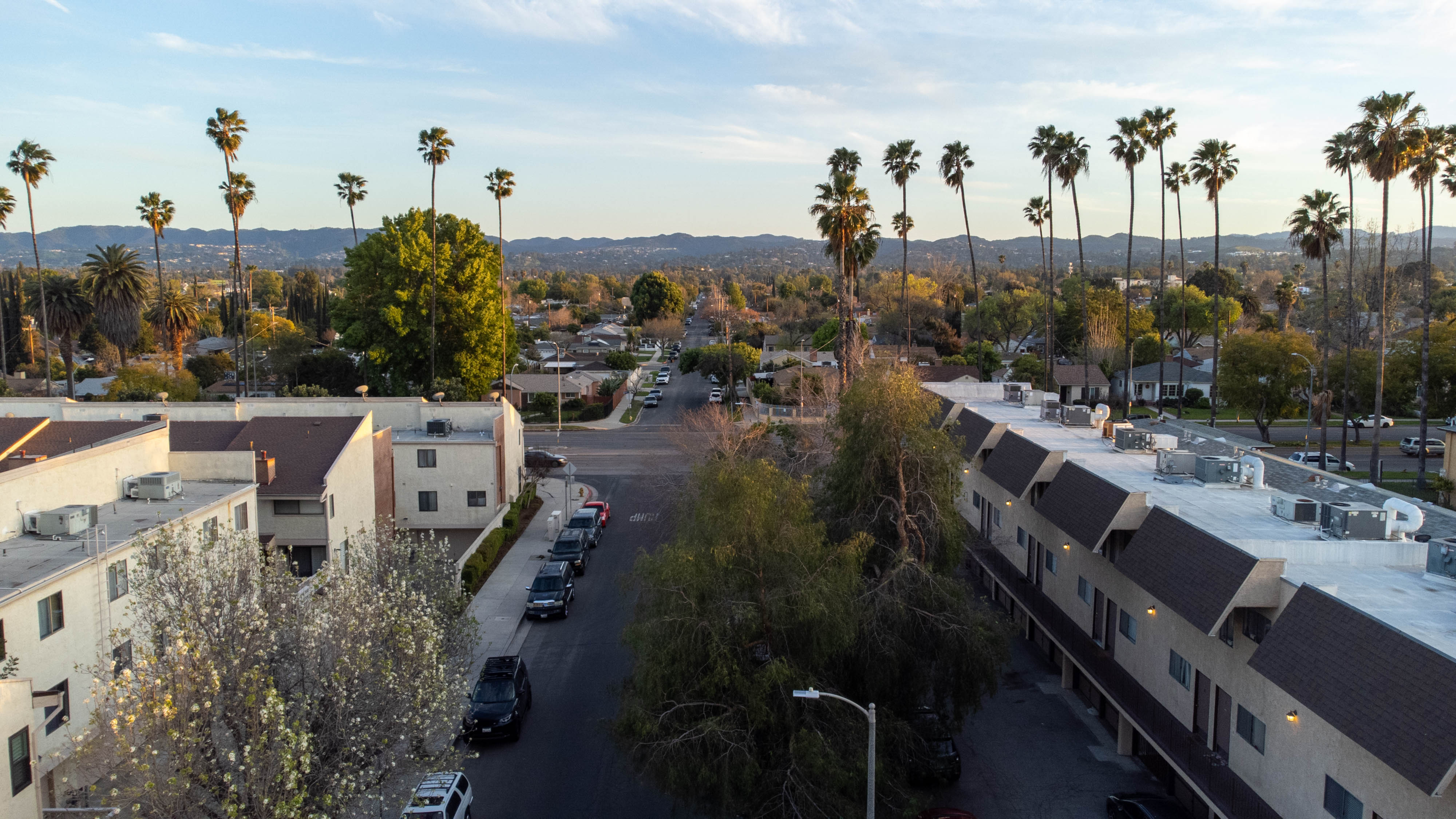reseda